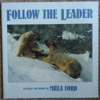 Reading 2002 Big Book Grade K Book 4 Follow the Leader