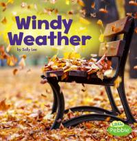 Windy Weather A 4D Book