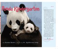 Panda Kindergarten