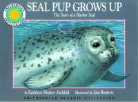 Seal Pup Grows Up The Story of a Harbor Seal