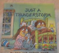 Just a Thunderstorm