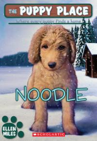 Noodle