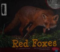 Red Foxes