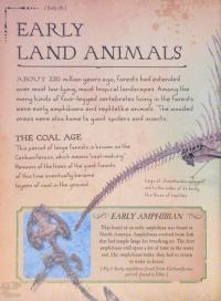 Bone Collection Dinosaurs and Other Prehistoric Animals