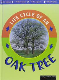 Oak Tree