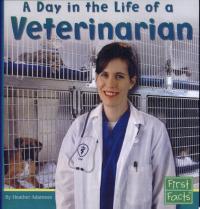 A Day in the Life of a Veterinarian