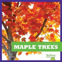 Maple Trees