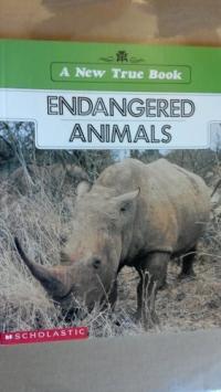 Endangered Animals