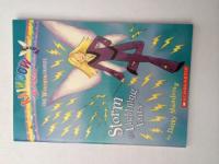 Storm the Lightning Fairy (Rainbow Magic The Weather Faries)