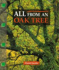 All from an Oak Tree