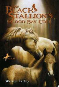 The Black Stallion's Blood Bay Colt (Reissue)