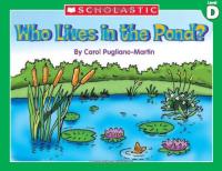 Little Leveled Readers Level D
