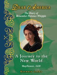 A Journey to the New World The Diary of Remember Patience Whipple