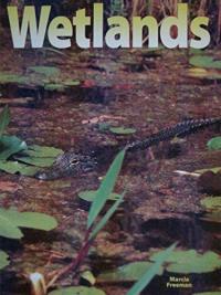 Wetlands