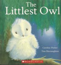 The Littlest Owl