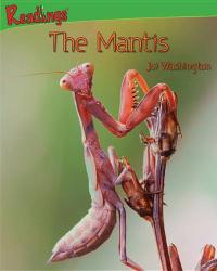 The Mantis