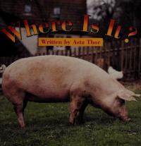 Where Is It?