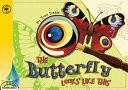 The Butterfly Looks Like This