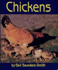 Chickens