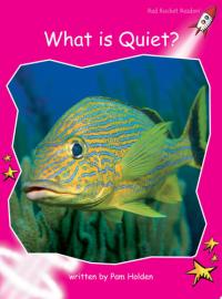 What Is Quiet?