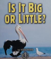 Is It Big or Little?