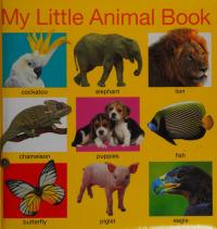 My Little Animal Book