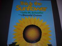 This is the Sunflower