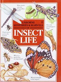Mysteries and Marvels of Insect Life