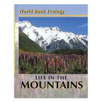 Life in the Mountains