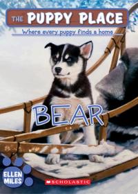 Bear (The Puppy Place #14)
