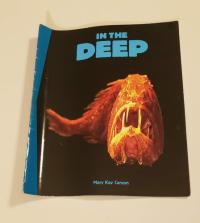 In the Deep