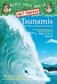 Tsunamis and Other Natural Disasters