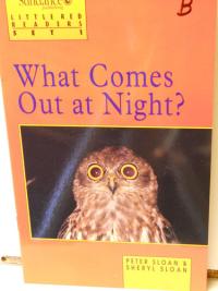 What Comes Out at Night