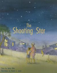 The Shooting Star Individual Student Edition Gold (Levels 21-22)