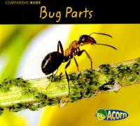 Bug Parts
