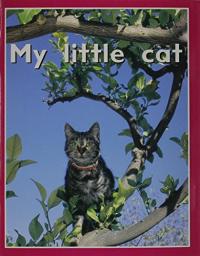 My Little Cat