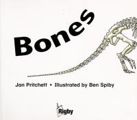 Rigby Literacy Student Reader Grade 4 Bones , Nonfiction