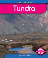 Tundra