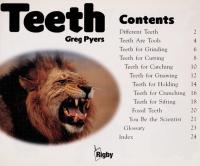 Teeth