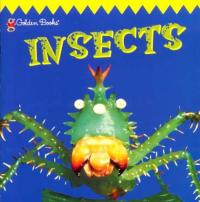 Insects