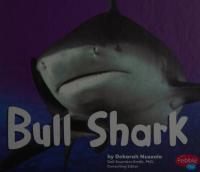 Bull Shark