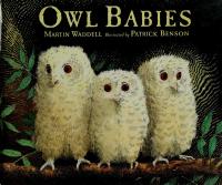 Owl Babies