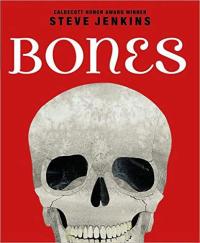 Bones Skeletons and how They Work
