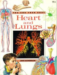Heart and Lungs (You and Your Body Series)