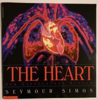 The Heart Our Circulatory System