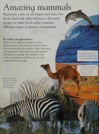 Mammals