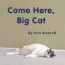 Come Here, Big Cat