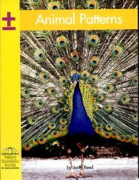Animal Patterns