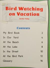 Bird Watching in the Holidays Individual Student Edition Blue (Levels 9-11)