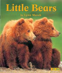 Little Bears